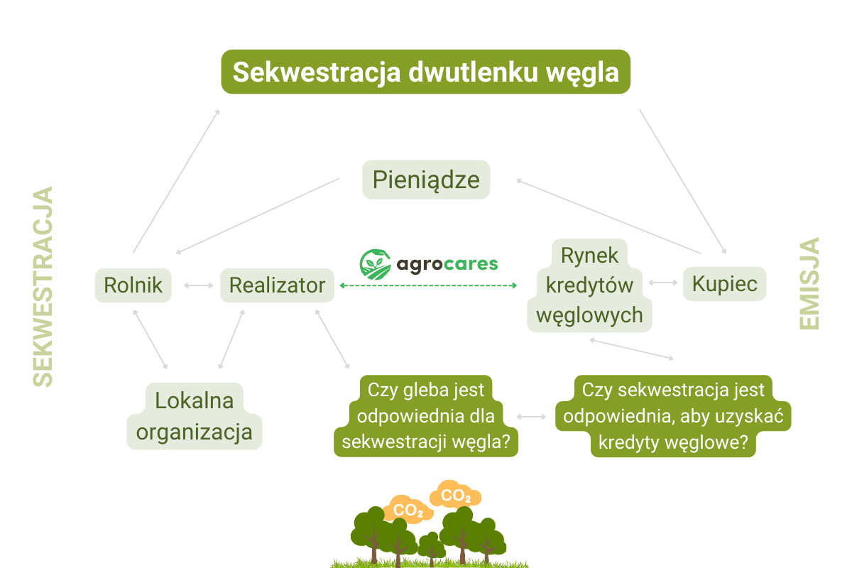 kredyty węglowe